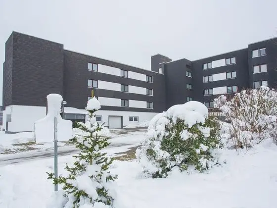 Vibran Apartment in Winterberg Near ski Area