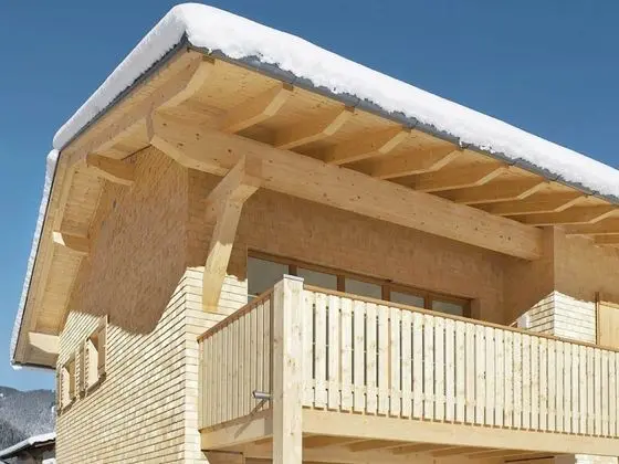 Vibrant Apartment near Ski Slopes in Brand - Dış Mekan