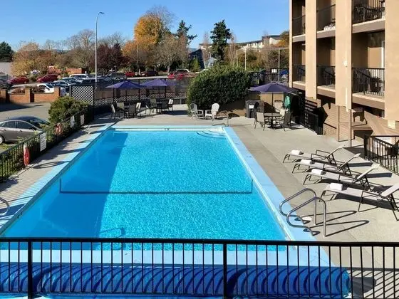 The Vic, Ascend Hotel Collection - Havuz