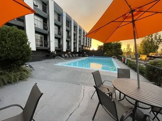 The Vic, Ascend Hotel Collection - Havuz