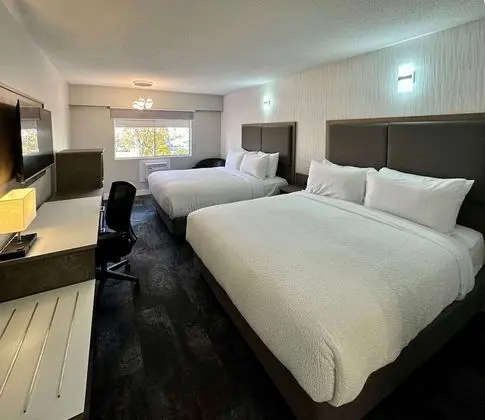 The Vic, Ascend Hotel Collection - Oda