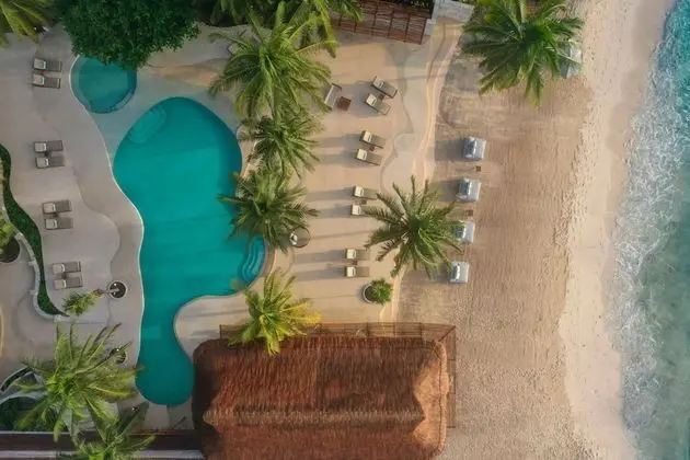 Viceroy Riviera Maya - Havuz