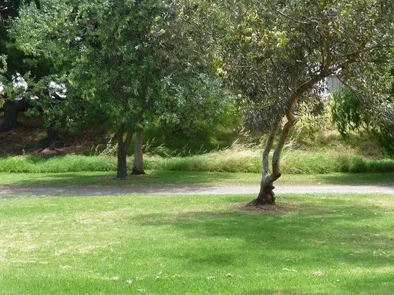 Victor Harbor Holiday & Cabin Park - Dış Mekan