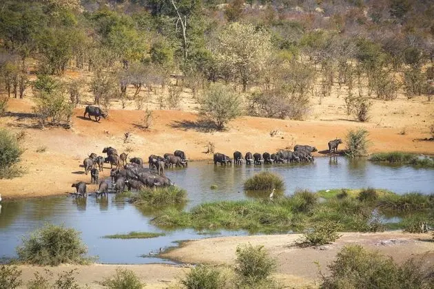 Victoria Falls Safari Suites - Dış Mekan