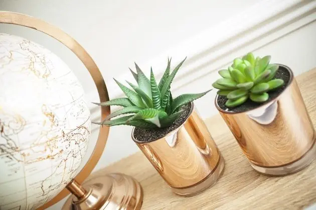 Victoria Magical Atmosphere with Patios