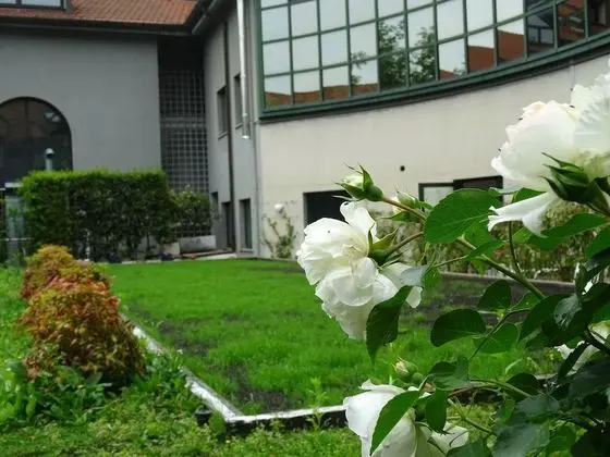 Victoria Hotels Royal Garden - Dış Mekan