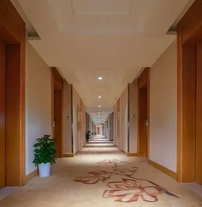Vienna Hotel - Guangzhou Airport Highway Pingsha Branch - İç Mekan