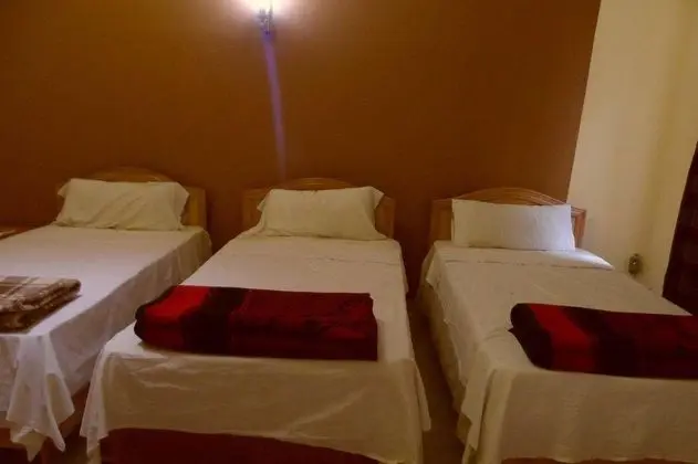Hotel Vienna - Genel