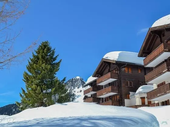 Vieux Valais Malisse Riederalp - Oda