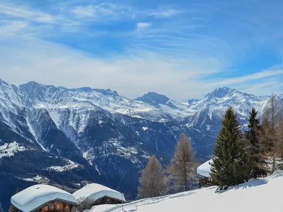 Vieux Valais Malisse Riederalp - Oda