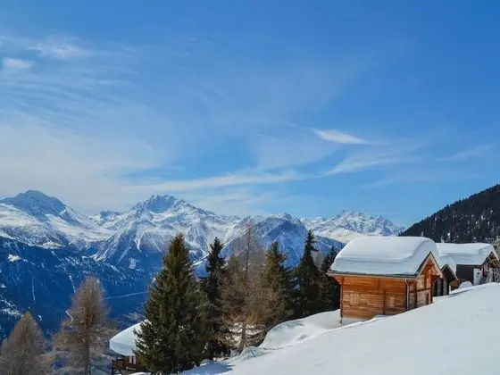 Vieux Valais Malisse Riederalp - Oda
