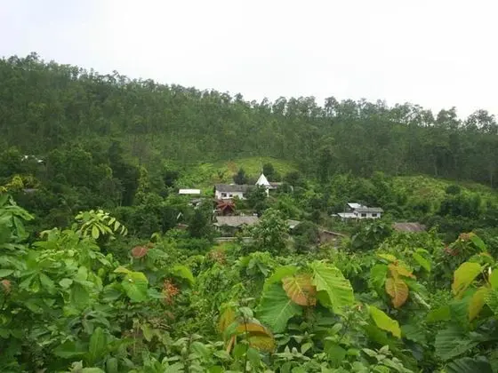 View Point Lodge