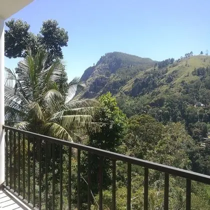 Viewfront Ella