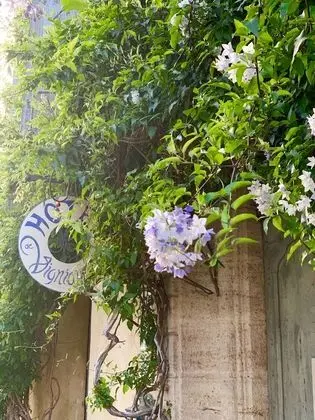 Vigniamont - Luxury B&B - Dış Mekan