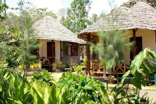 The Vijiji Center Lodge and Safari