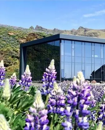 Hotel Vík í Mýrdal - Dış Mekan