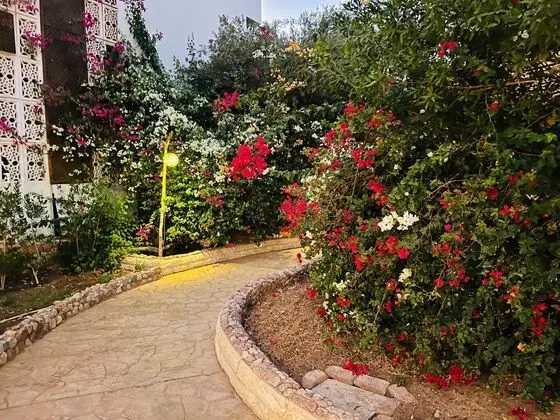 Viking Club Hotel - Dış Mekan