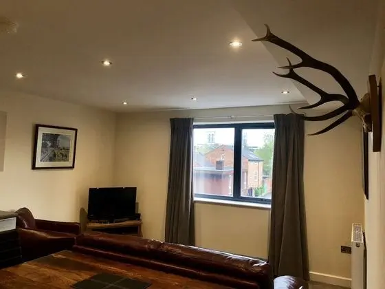 Vikings Apartment - Bar