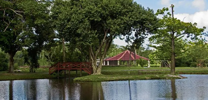 Vila Rica Belem