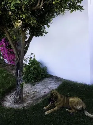 Vila Sta Teresinha Suites - Dış Mekan