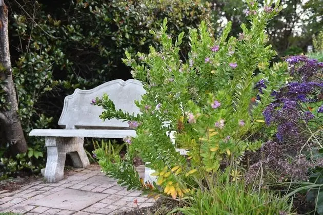 Vilacqua Boutique Guest Villa - Dış Mekan