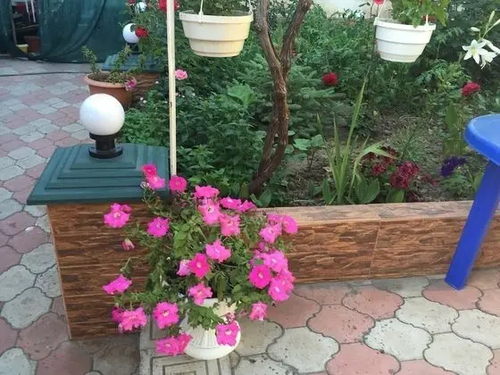 Vilari Guest House - İç Mekan