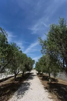 Villetta dei Nespoli - Dış Mekan