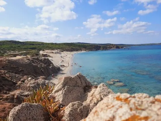 Villette Oleandri Vista Mare - Plaj
