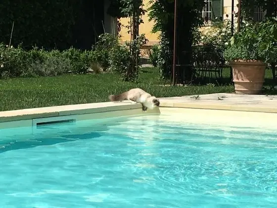 Villino di Porporano