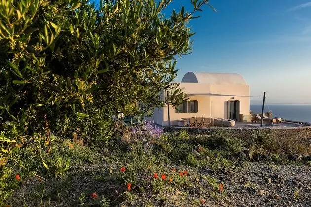 Villa Vinea - Dış Mekan