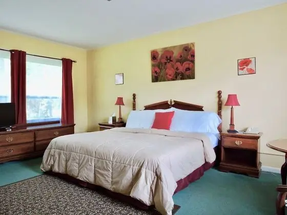 Vinehurst Inn And Suites - Oda