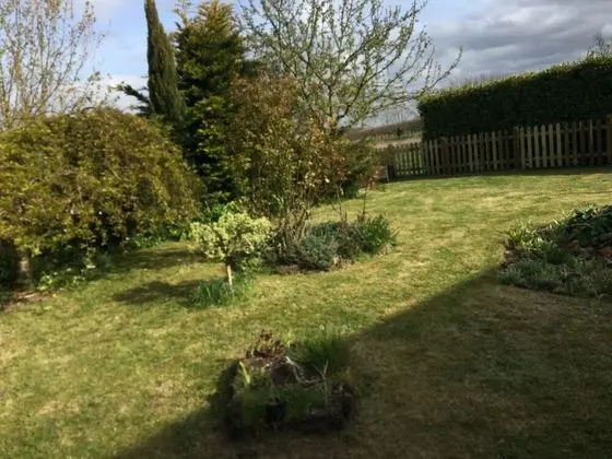 Vineyard Cottage - Norfolk at its Best