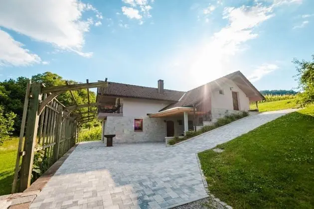 Vineyard cottage Radulja