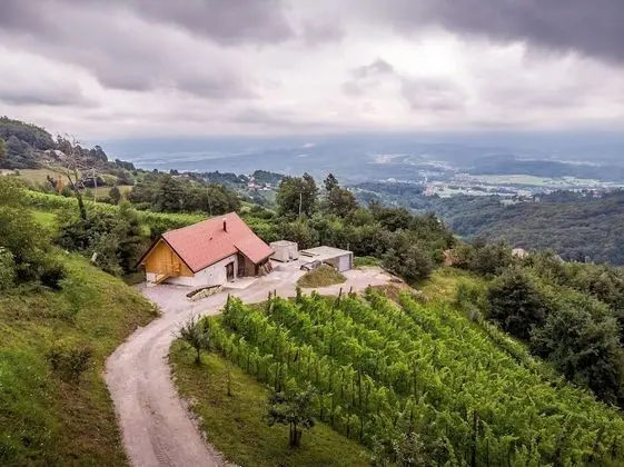 Vineyard cottage Škatlar 3