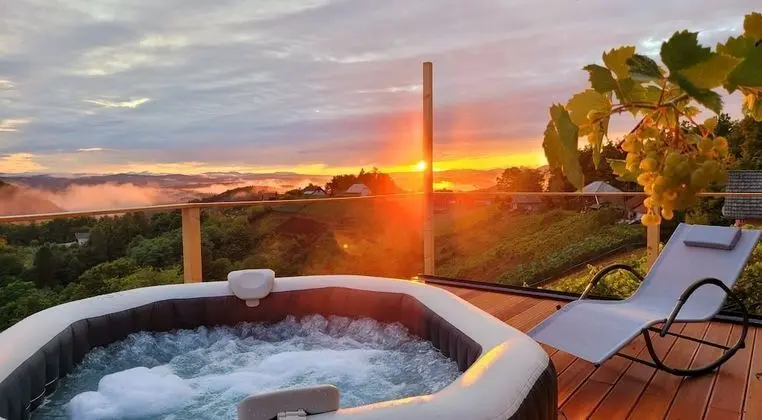 Vineyard cottage Soncni gric