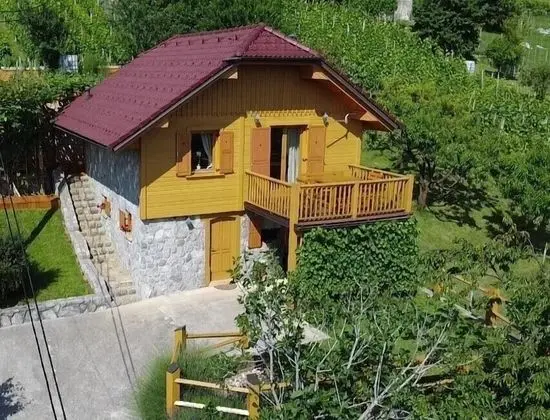 Vineyard cottage Stopar - 1