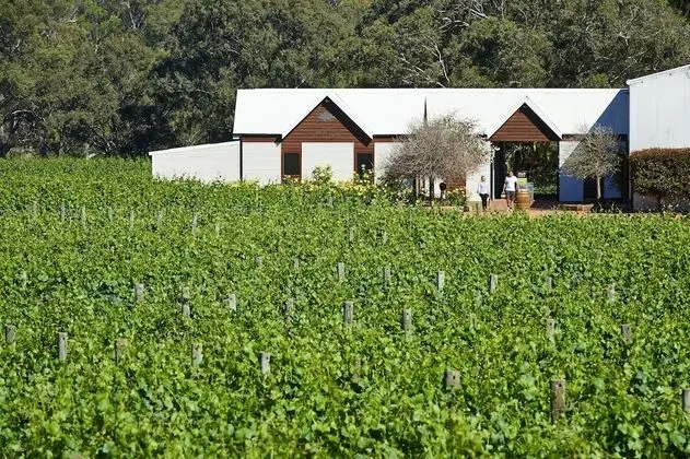 Vineyard Cottage at Upper Reach Winery - Öne Çıkan Resim