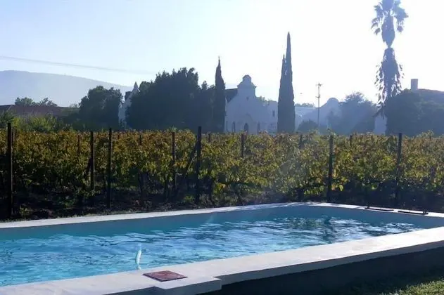 The Vineyard Country House - Havuz