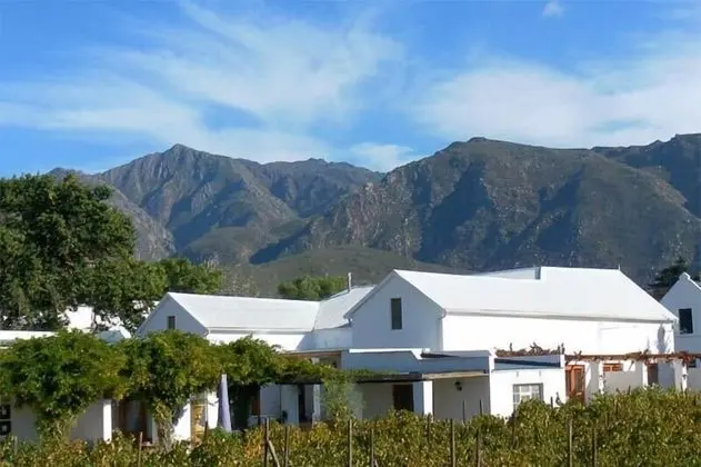 The Vineyard Country House - Öne Çıkan Resim