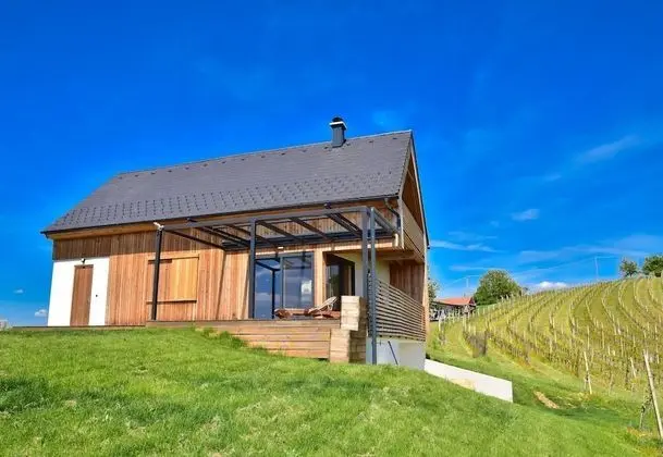 Vineyard Eco House Vukan - Dış Mekan