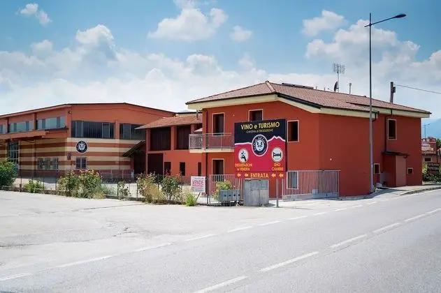 Vino e Turismo
