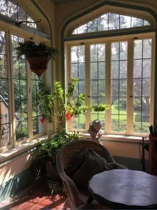 Vintage Gardens Bed & Breakfast - Bar