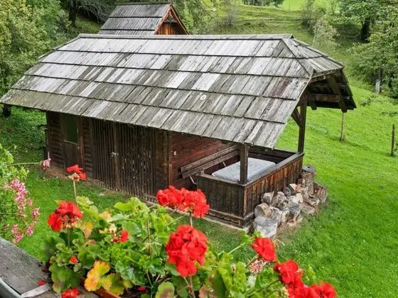 Vintage Holiday Home in Arriach With Private Garden - Dış Mekan
