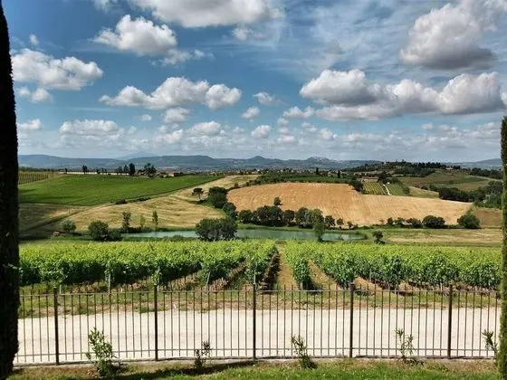 Vintage Mansion in Montepulciano With Shared Pool - Dış Mekan