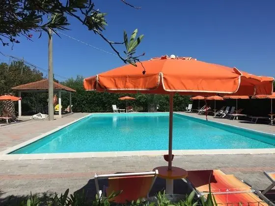 Viola Club Village