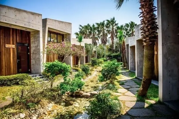 Visby Jeju Palm Village - Dış Mekan