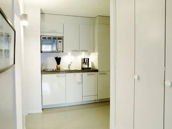 VISIONAPARTMENTS Zurich Binzmühlestrasse 50 - Mutfak