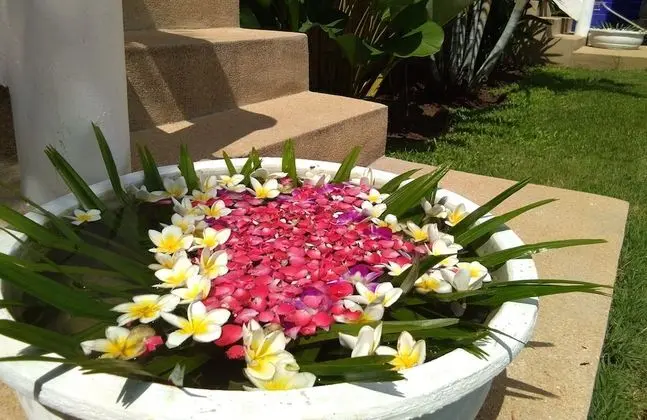 Visit Natural Detox Resort - Spa