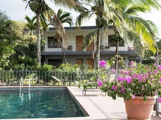 Vista Canyon Inn - Havuz