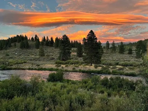Vista Point - Genel